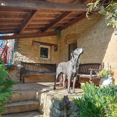 Centre Equestre Du Passe Temps Vila Dégagnac Exterior foto