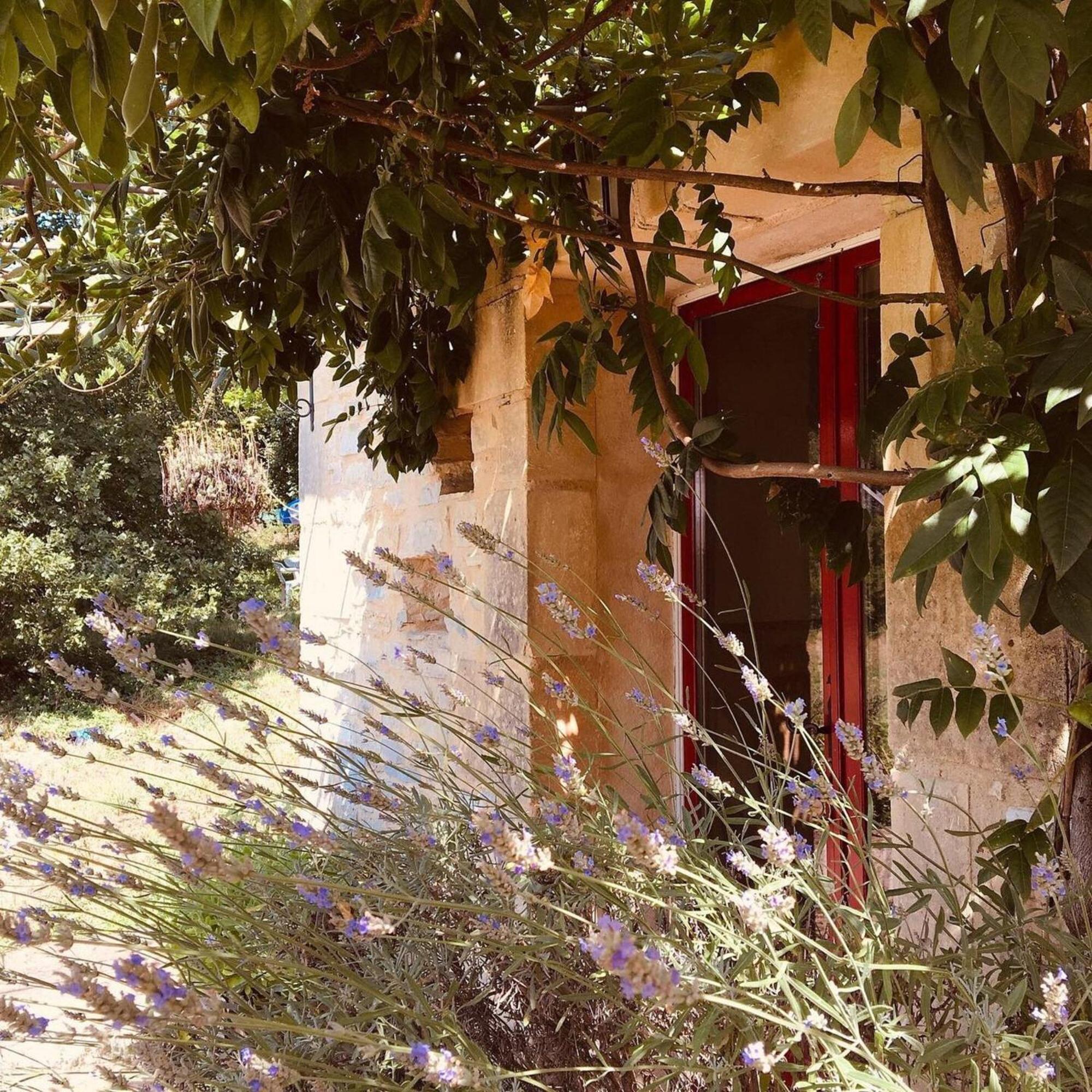 Centre Equestre Du Passe Temps Vila Dégagnac Exterior foto