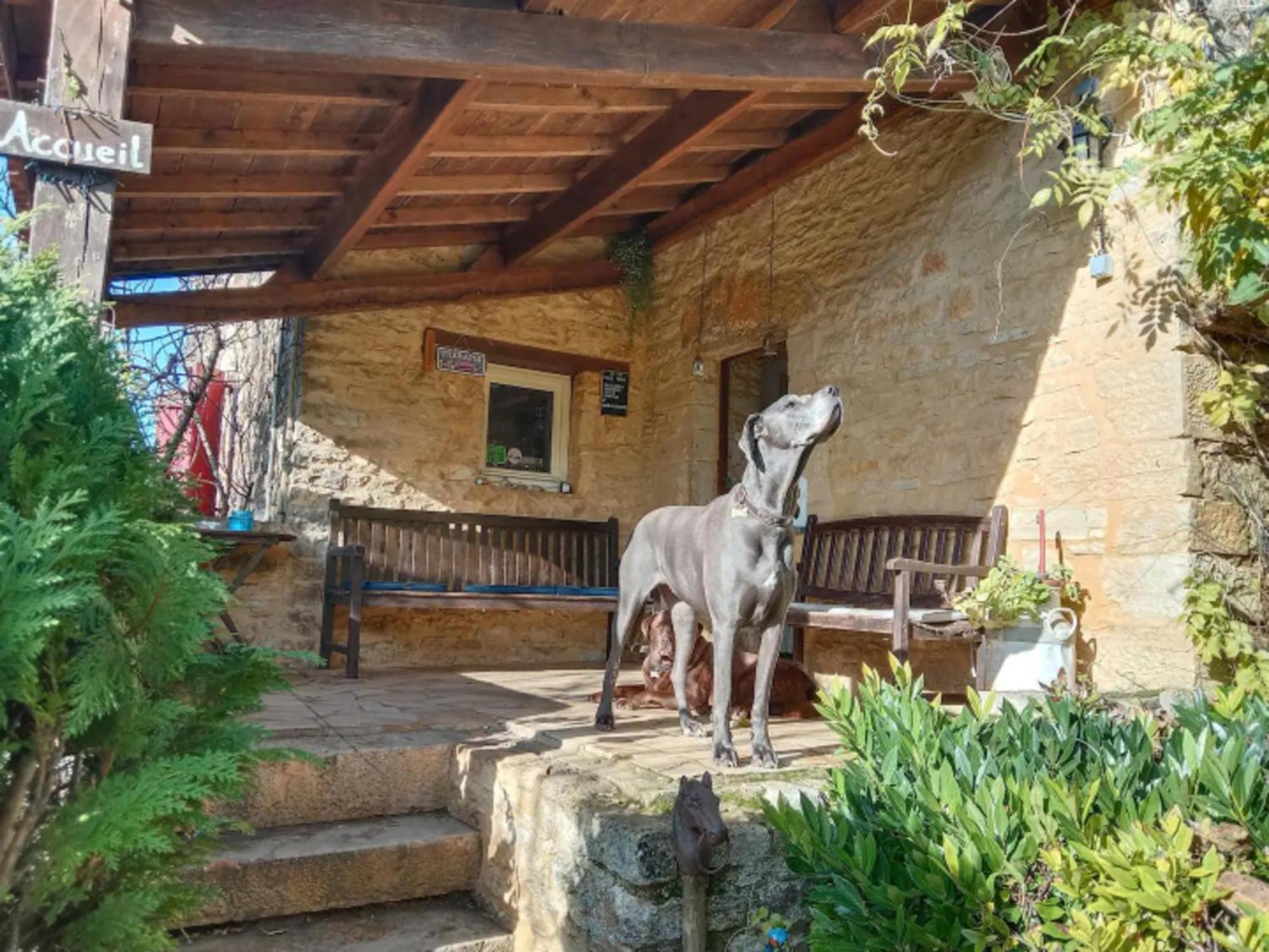 Centre Equestre Du Passe Temps Vila Dégagnac Exterior foto