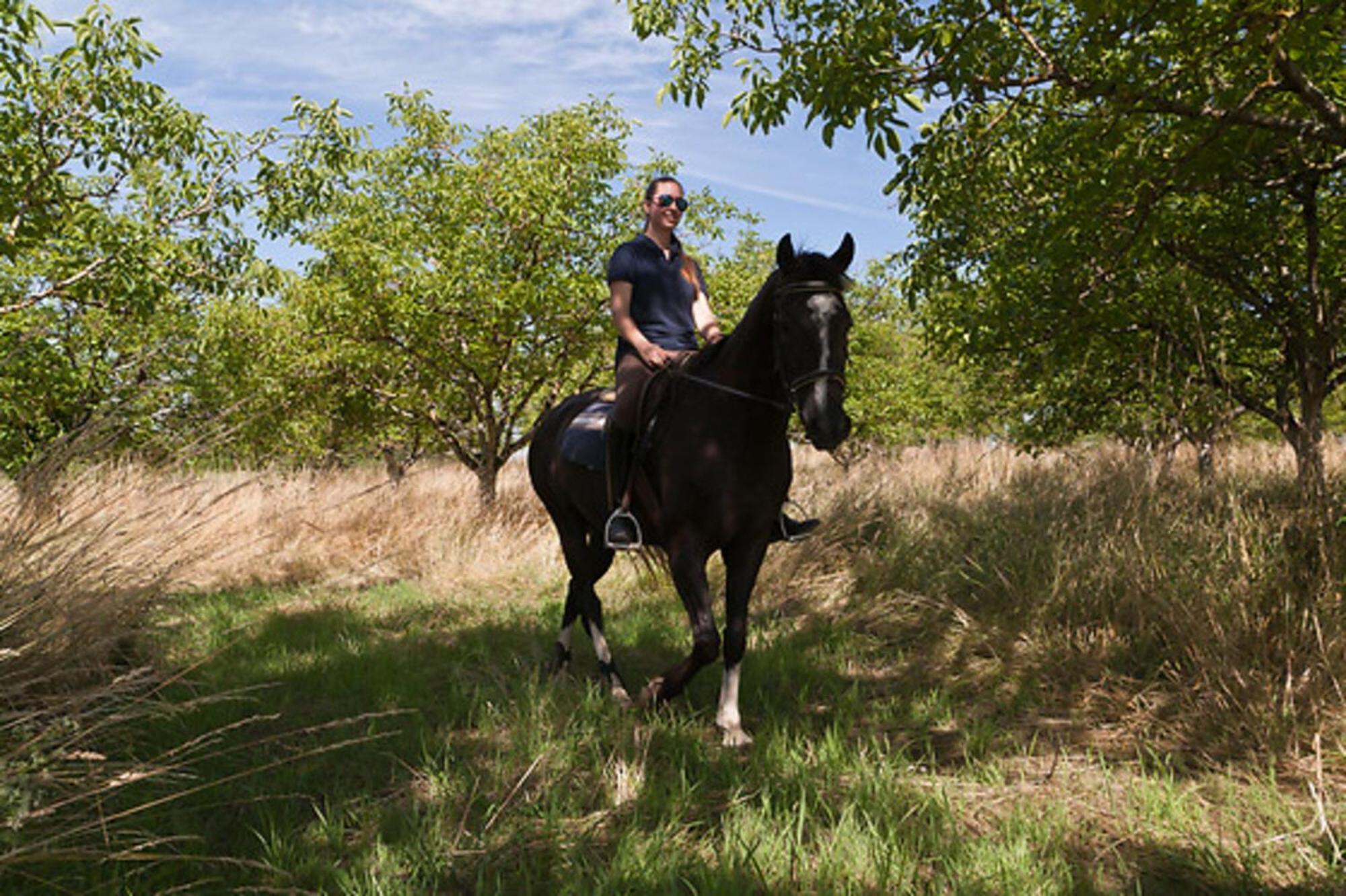 Centre Equestre Du Passe Temps Vila Dégagnac Exterior foto